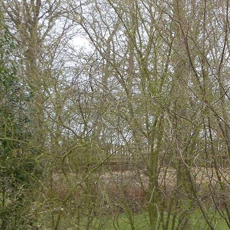 Freesteil Hohwacht Exteriér fotografie